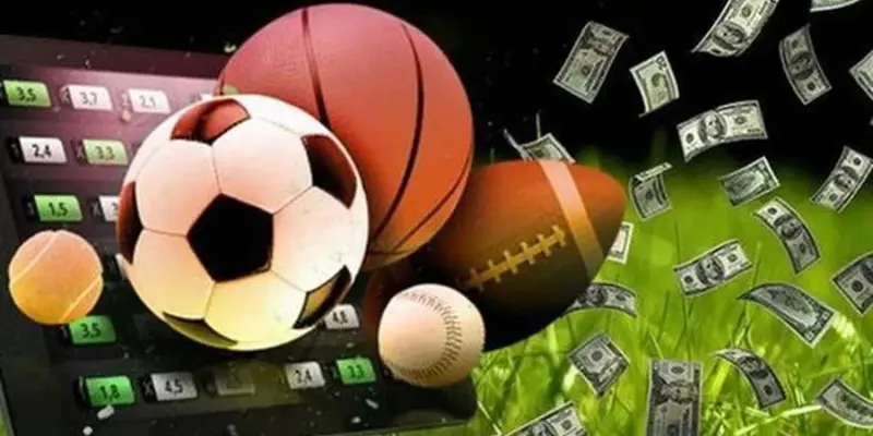 Những loại hình cá cược tại nền tảng thể thao TIP88