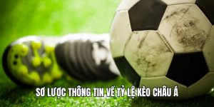 Kèo Châu Á - Đỉnh Cao Loại Kèo Cá Cược Bóng Đá Hiện Nay